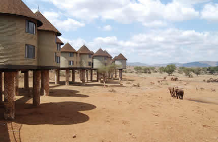 5 Days 4 Nights Tsavo, Amboseli and Taita Hills Sanctuary