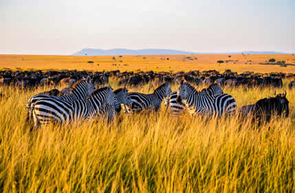 5 Days_ Aberdares_Mara_Nakuru