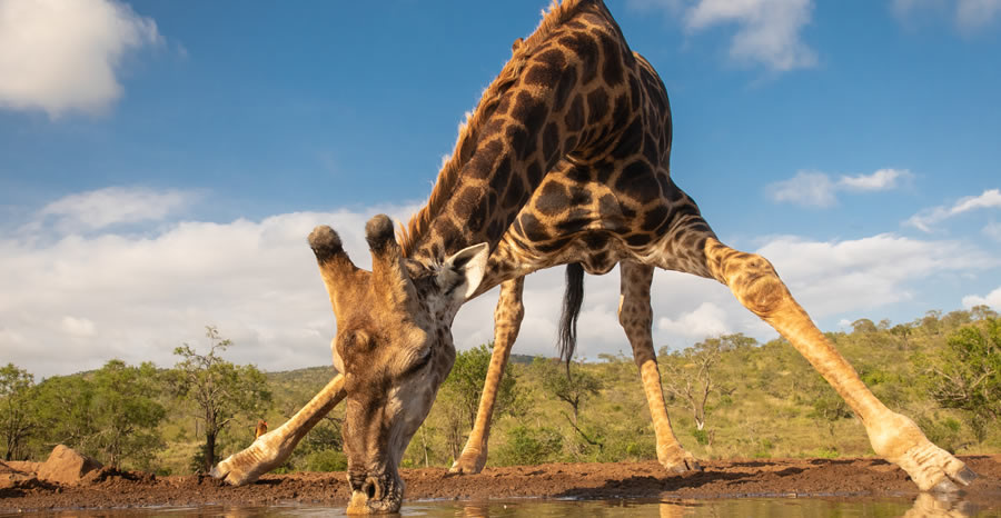 Safari 6 Jours Samburu1